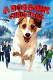 A Doggone Christmas HD film izle